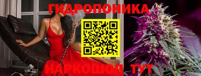 спиды Гусь-Хрустальный