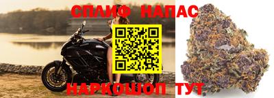спиды Гусь-Хрустальный